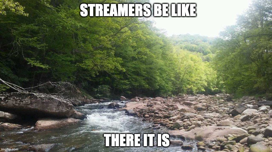 Funny or no? | STREAMERS BE LIKE; THERE IT IS | image tagged in bad pun,memes | made w/ Imgflip meme maker