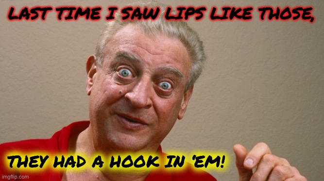 Rodney Dangerfield | LAST TIME I SAW LIPS LIKE THOSE, THEY HAD A HOOK IN ‘EM! | image tagged in rodney dangerfield | made w/ Imgflip meme maker