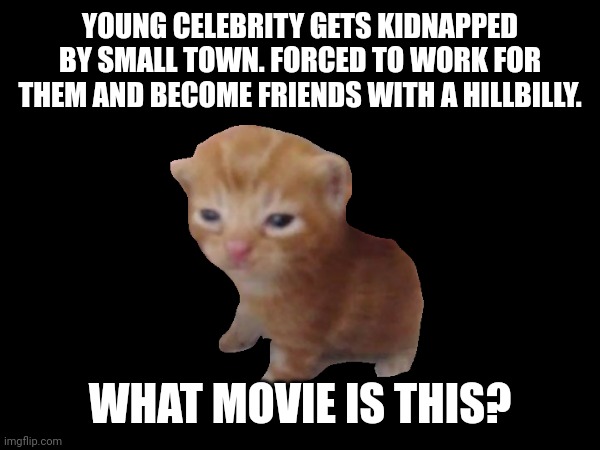 What movie is this? | YOUNG CELEBRITY GETS KIDNAPPED BY SMALL TOWN. FORCED TO WORK FOR THEM AND BECOME FRIENDS WITH A HILLBILLY. WHAT MOVIE IS THIS? | image tagged in movies,bullshit | made w/ Imgflip meme maker