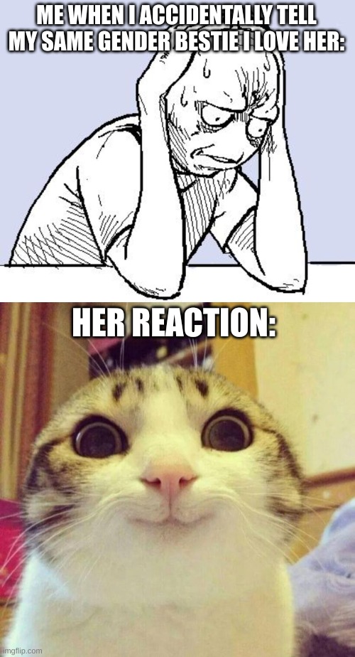 Wholesome | ME WHEN I ACCIDENTALLY TELL MY SAME GENDER BESTIE I LOVE HER:; HER REACTION: | image tagged in stressed meme,cat,smiling cat,wholesome | made w/ Imgflip meme maker