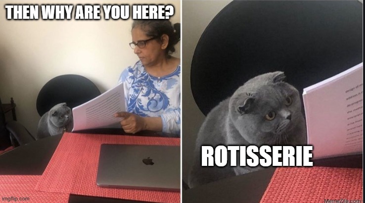 Then why did you write | THEN WHY ARE YOU HERE? ROTISSERIE | image tagged in then why did you write | made w/ Imgflip meme maker