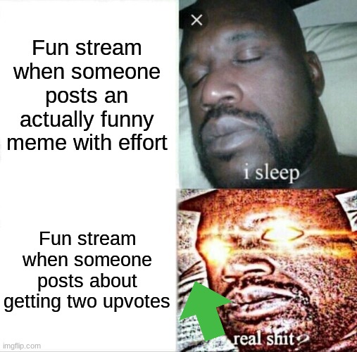 Slander | Fun stream when someone posts an actually funny meme with effort; Fun stream when someone posts about getting two upvotes | image tagged in memes,sleeping shaq,funny,gifs | made w/ Imgflip meme maker