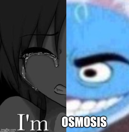 I have two sides. | OSMOSIS | made w/ Imgflip meme maker