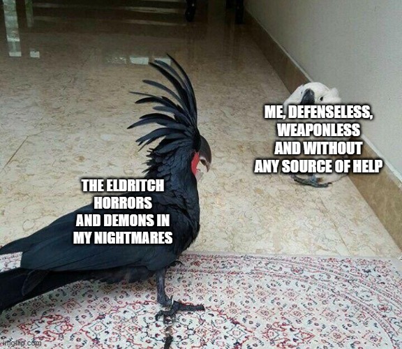 Black vs White | ME, DEFENSELESS, WEAPONLESS AND WITHOUT ANY SOURCE OF HELP; THE ELDRITCH HORRORS AND DEMONS IN MY NIGHTMARES | image tagged in black vs white | made w/ Imgflip meme maker