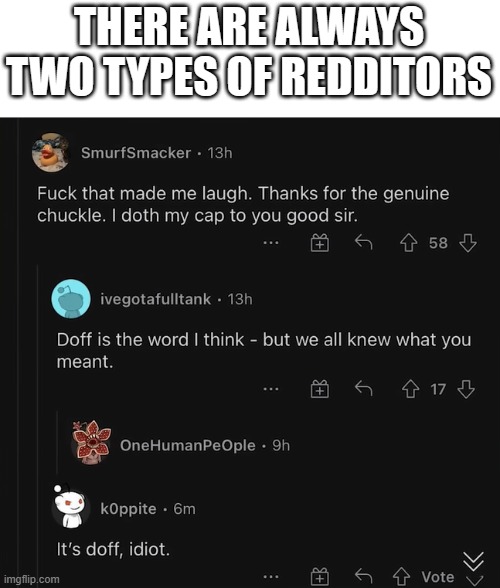 THERE ARE ALWAYS TWO TYPES OF REDDITORS | image tagged in reddit,correction,two types of people | made w/ Imgflip meme maker
