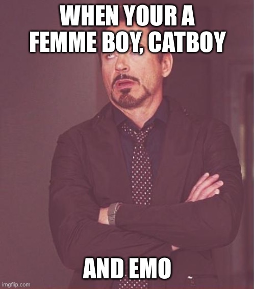 Honestly | WHEN YOUR A FEMME BOY, CATBOY; AND EMO | image tagged in memes,face you make robert downey jr | made w/ Imgflip meme maker