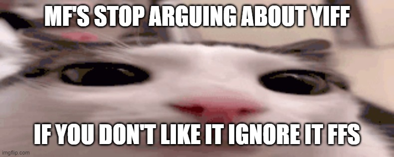 like damn it no one cares, you can't do anything anyway so find summin better to do | MF'S STOP ARGUING ABOUT YIFF; IF YOU DON'T LIKE IT IGNORE IT FFS | image tagged in plink | made w/ Imgflip meme maker