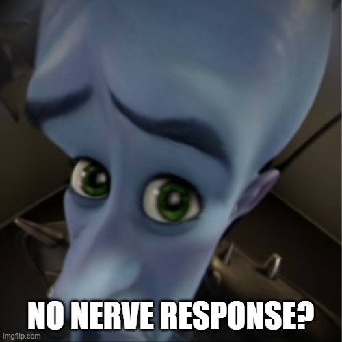 Megamind peeking | NO NERVE RESPONSE? | image tagged in megamind peeking | made w/ Imgflip meme maker