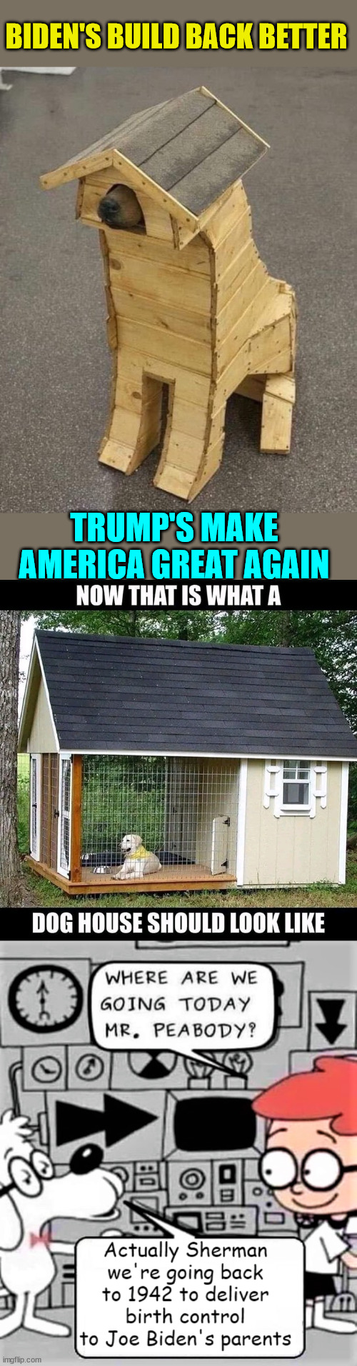 What any smart dog would do... | BIDEN'S BUILD BACK BETTER; TRUMP'S MAKE AMERICA GREAT AGAIN | image tagged in smart,dog | made w/ Imgflip meme maker