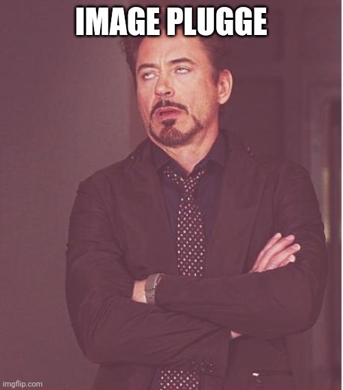 Face You Make Robert Downey Jr | IMAGE PLUGGE | image tagged in memes,face you make robert downey jr | made w/ Imgflip meme maker