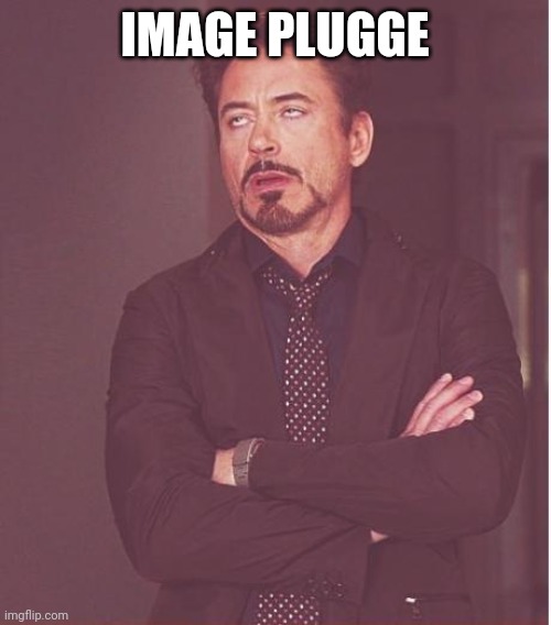 Face You Make Robert Downey Jr Meme | IMAGE PLUGGE | image tagged in memes,face you make robert downey jr | made w/ Imgflip meme maker