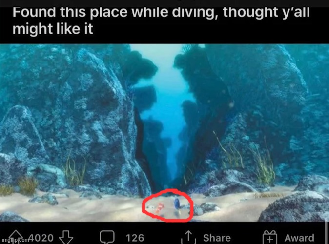 This is literally a scene from Finding Nemo | image tagged in scuba diving,finding nemo,oh really | made w/ Imgflip meme maker