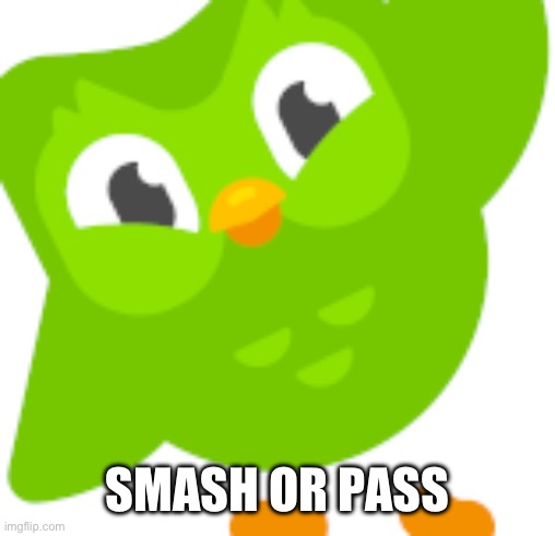 i | SMASH OR PASS | image tagged in duolingo meme | made w/ Imgflip meme maker