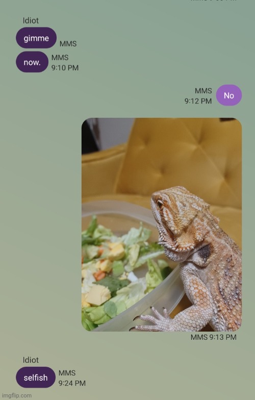 Let the man eat his salad in peace | image tagged in bearded dragon,salad | made w/ Imgflip meme maker