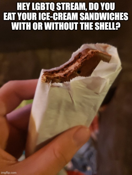 :3 | HEY LGBTQ STREAM, DO YOU EAT YOUR ICE-CREAM SANDWICHES WITH OR WITHOUT THE SHELL? | made w/ Imgflip meme maker
