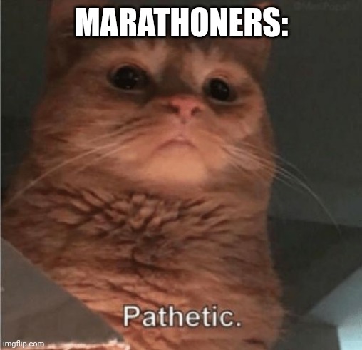 Pathetic Cat | MARATHONERS: | image tagged in pathetic cat | made w/ Imgflip meme maker