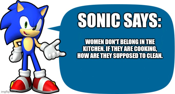 Sonic Sez | SONIC SAYS:; WOMEN DON'T BELONG IN THE KITCHEN. IF THEY ARE COOKING, HOW ARE THEY SUPPOSED TO CLEAN. | image tagged in sonic sez | made w/ Imgflip meme maker