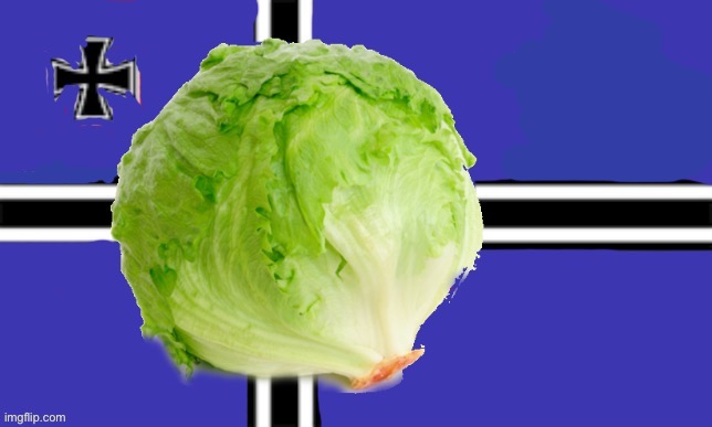 Lettuce empire. Create an image to view our rules | image tagged in lettuce empire flag | made w/ Imgflip meme maker