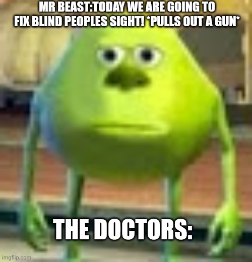 Sully Wazowski | MR BEAST:TODAY WE ARE GOING TO FIX BLIND PEOPLES SIGHT! *PULLS OUT A GUN*; THE DOCTORS: | image tagged in sully wazowski | made w/ Imgflip meme maker