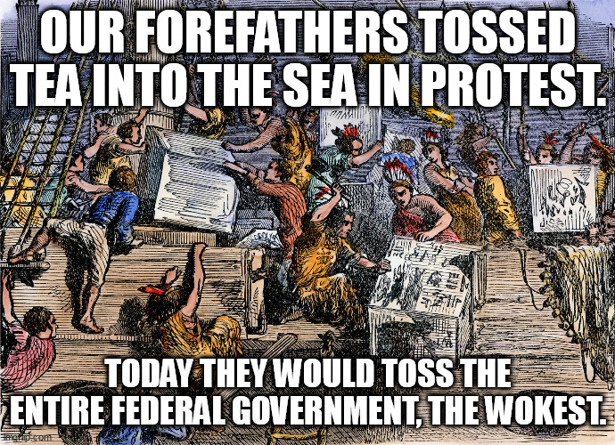 Tea or free, then and now. | OUR FOREFATHERS TOSSED TEA INTO THE SEA IN PROTEST. TODAY THEY WOULD TOSS THE ENTIRE FEDERAL GOVERNMENT, THE WOKEST. | image tagged in tea party,historical meme | made w/ Imgflip meme maker
