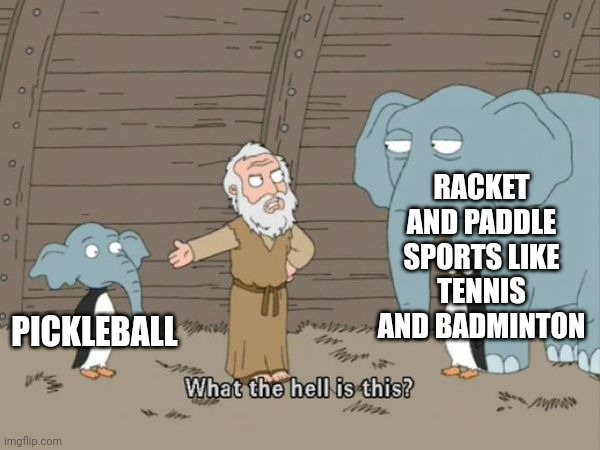 What the hell is this? | RACKET AND PADDLE SPORTS LIKE TENNIS AND BADMINTON; PICKLEBALL | image tagged in what the hell is this,sports,pickleball | made w/ Imgflip meme maker