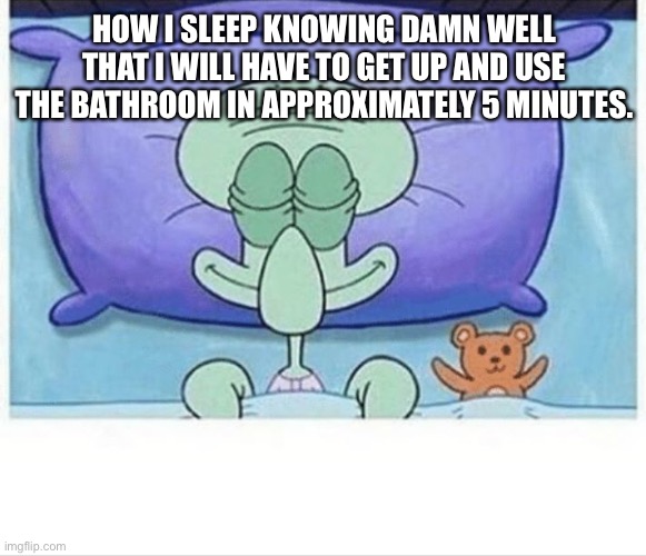 Yup, that’s how it happens | HOW I SLEEP KNOWING DAMN WELL THAT I WILL HAVE TO GET UP AND USE THE BATHROOM IN APPROXIMATELY 5 MINUTES. | image tagged in squidward how i sleep | made w/ Imgflip meme maker