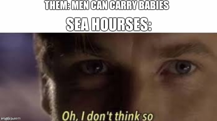 Oh, I don't think so | THEM: MEN CAN CARRY BABIES; SEA HOURSES: | image tagged in oh i don't think so | made w/ Imgflip meme maker