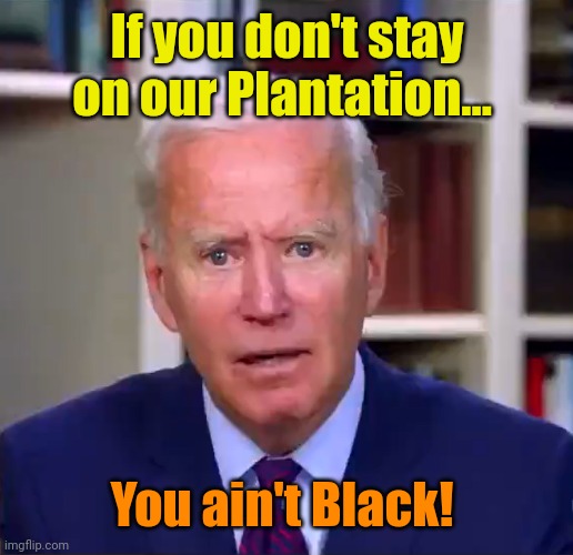 Slow Joe Biden Dementia Face | If you don't stay on our Plantation... You ain't Black! | image tagged in slow joe biden dementia face | made w/ Imgflip meme maker