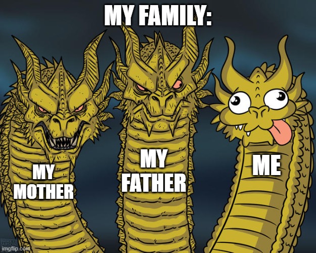 LUCKY THERES A FAMILY GUY | MY FAMILY:; MY FATHER; ME; MY MOTHER | image tagged in three-headed dragon | made w/ Imgflip meme maker
