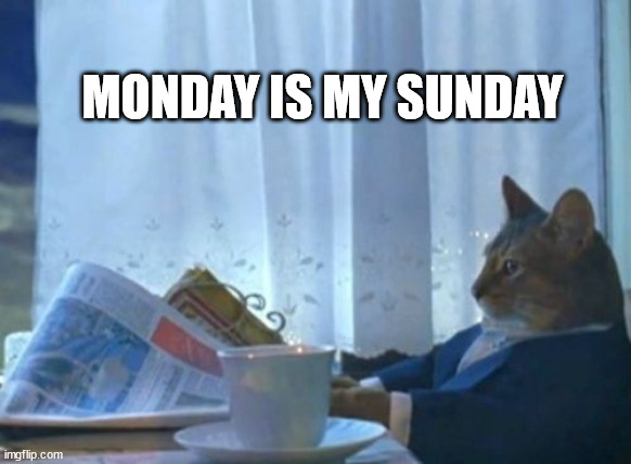 I Should Buy A Boat Cat Meme | MONDAY IS MY SUNDAY | image tagged in memes,i should buy a boat cat | made w/ Imgflip meme maker