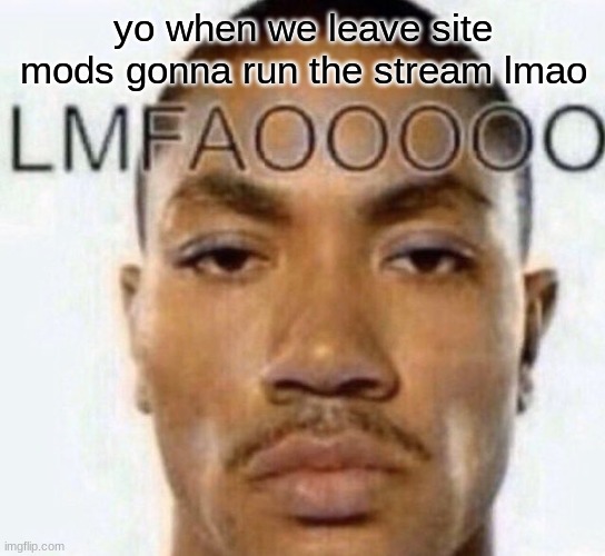 LMFAOOOOO | yo when we leave site mods gonna run the stream lmao | image tagged in lmfaooooo | made w/ Imgflip meme maker