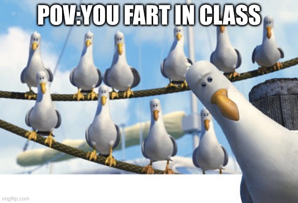class | POV:YOU FART IN CLASS | image tagged in finding nemo seagulls | made w/ Imgflip meme maker