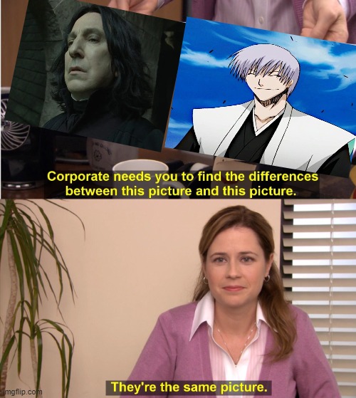 Gin and Snape | image tagged in memes,they're the same picture | made w/ Imgflip meme maker