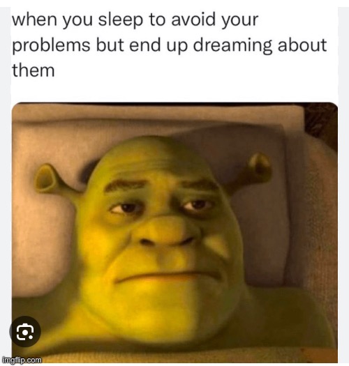 This happened to me once | image tagged in relatable,dreams,funny,memes,shrek | made w/ Imgflip meme maker