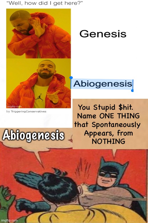 I use my 89 IQ points for “Triggering Conservatives” | You Stupid $hit.  
Name ONE THING
that Spontaneously 
Appears, from
NOTHING; Abiogenesis | image tagged in memes,when u hate god u just make shit up,but u sound braindead,just accept god,the best thing u could ever do | made w/ Imgflip meme maker