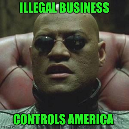 Illegal Business Controls America | ILLEGAL BUSINESS; CONTROLS AMERICA | image tagged in what if i told you | made w/ Imgflip meme maker