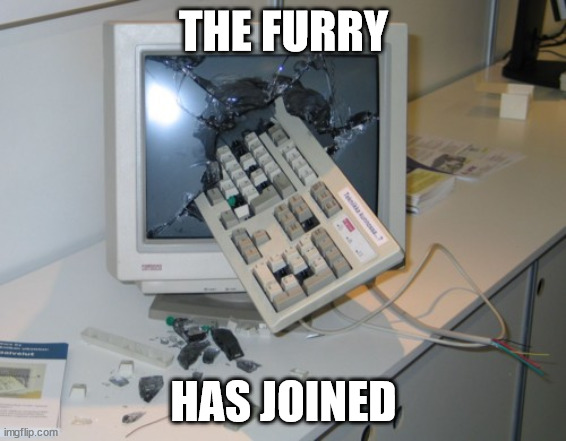 lemon | THE FURRY; HAS JOINED | image tagged in broken computer | made w/ Imgflip meme maker