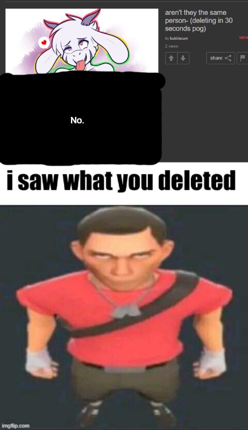 , | No. | image tagged in i saw what you deleted scout | made w/ Imgflip meme maker