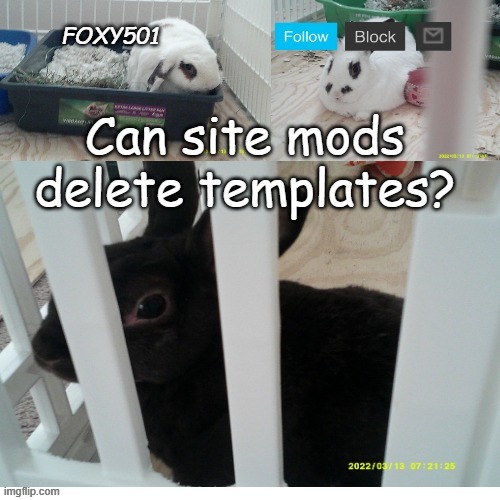 Foxy501 announcement template | Can site mods delete templates? | image tagged in foxy501 announcement template | made w/ Imgflip meme maker