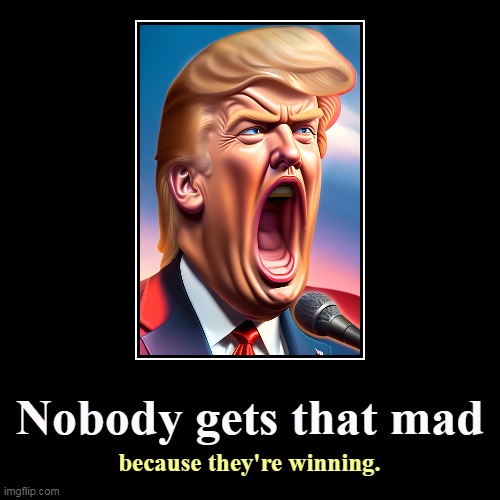 Loser | Nobody gets that mad | because they're winning. | image tagged in funny,demotivationals,trump,angry,loser,always | made w/ Imgflip demotivational maker