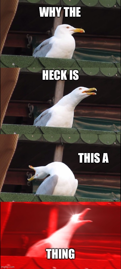 Inhaling Seagull Meme | WHY THE HECK IS THIS A THING | image tagged in memes,inhaling seagull | made w/ Imgflip meme maker