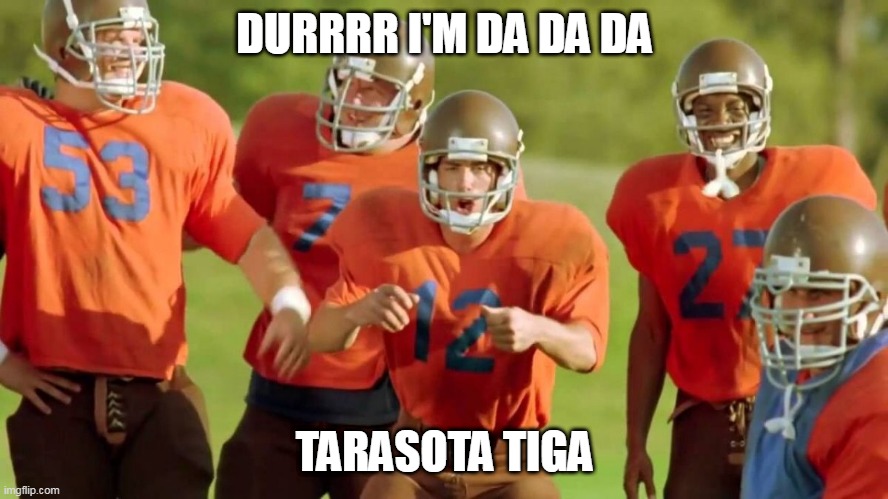 waterboy durrr | DURRRR I'M DA DA DA; TARASOTA TIGA | image tagged in waterboy durrr | made w/ Imgflip meme maker