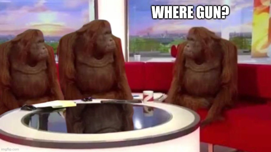orangutan interview | WHERE GUN? | image tagged in orangutan interview | made w/ Imgflip meme maker