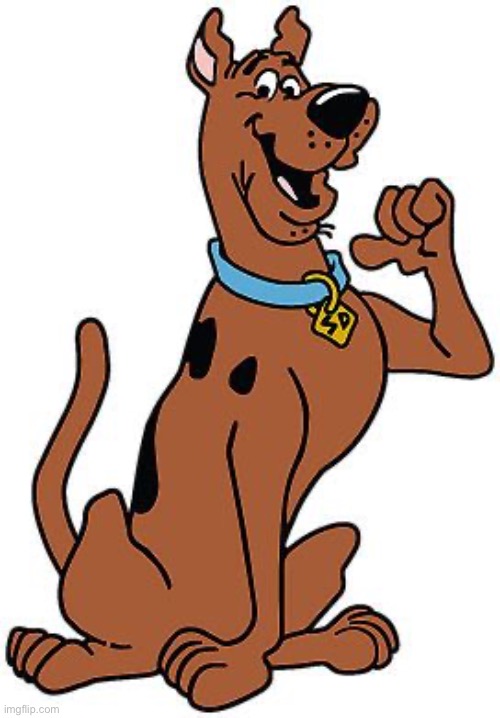 Scooby Doo | image tagged in scooby doo | made w/ Imgflip meme maker
