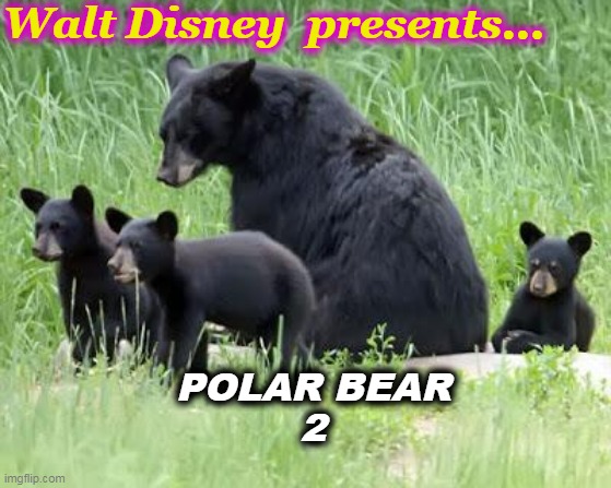 Disney Polar Bear | Walt Disney  presents... POLAR BEAR
2 | image tagged in disney,polar bear,black bear,animal humor,woke memes,bear jokes | made w/ Imgflip meme maker