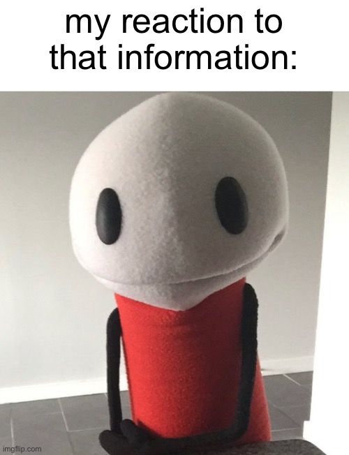 meatly puppet | my reaction to that information: | image tagged in my reaction to that information,memes,funny,indie dev | made w/ Imgflip meme maker