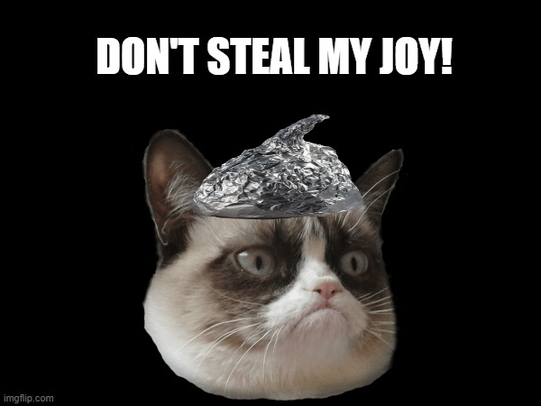 Tin foil grumpy cat | DON'T STEAL MY JOY! | image tagged in grumpy cat | made w/ Imgflip meme maker