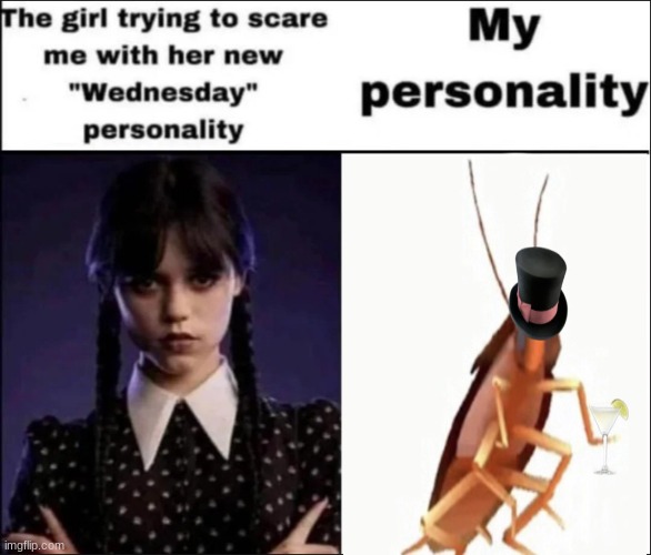 jermey my beloved | image tagged in the girl trying to scare me with her new wednesday personality,jermey,silly | made w/ Imgflip meme maker