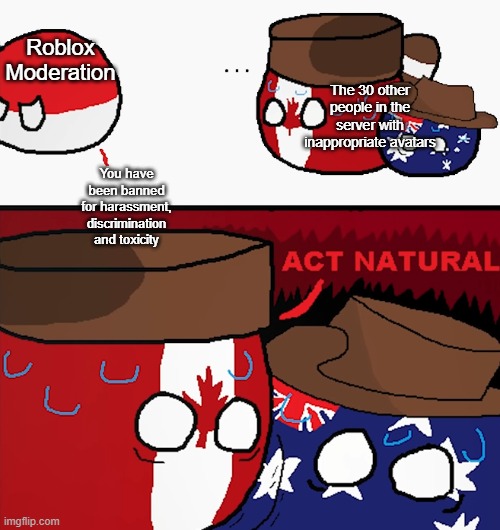 (TEMPLATE CAN BE FOUND ON MY PROFILE) POV: Rate my avatar | Roblox Moderation; The 30 other people in the server with inappropriate avatars; You have been banned for harassment, discrimination and toxicity | image tagged in countryballs act natural | made w/ Imgflip meme maker