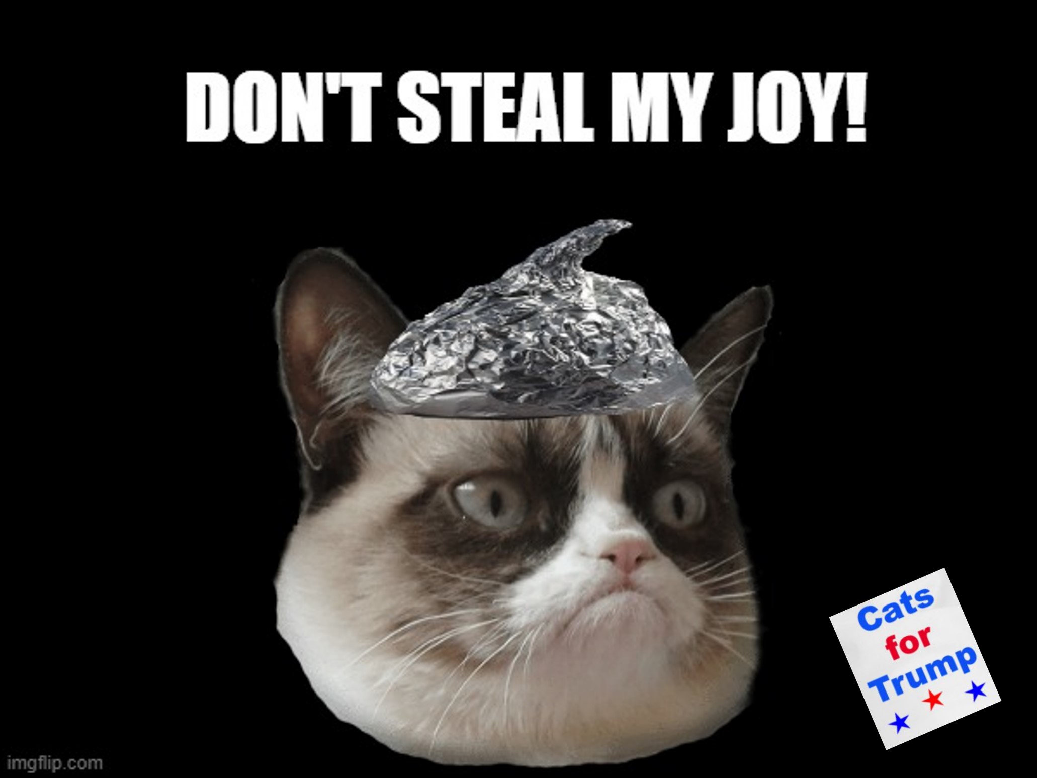 Conspiracy Cat Blank Meme Template